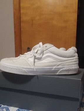 Vans White Low-Top Skate Shoes